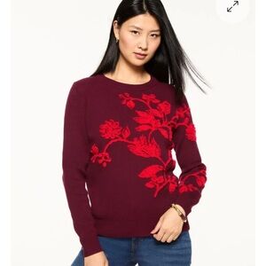 Talbots Sweater NWT